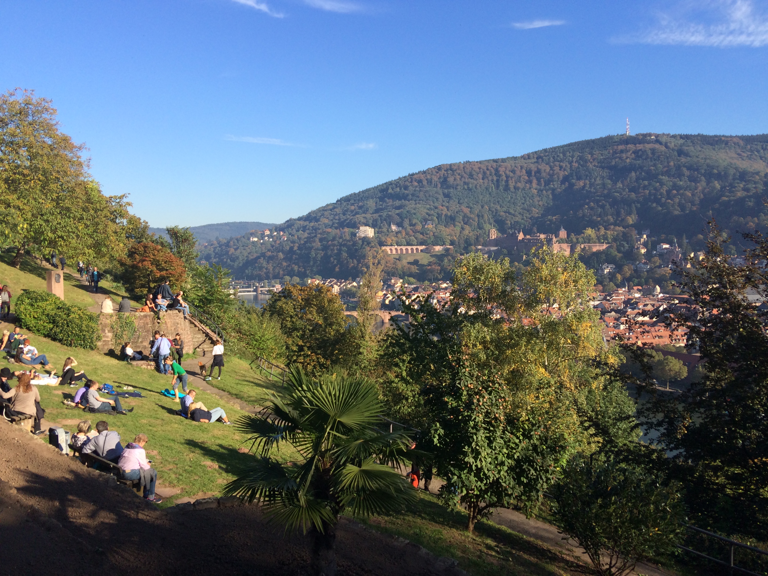 Blick auf den Neckar in Heidelberg